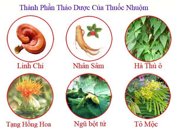 thanh-phan-thao-duoc2